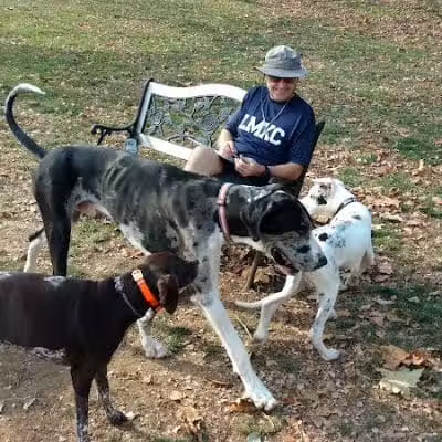 Harford Park - Wayne, PA