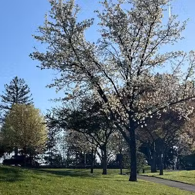 James C. Dittmar Park - Wayne, PA
