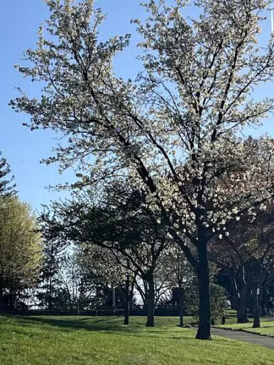 James C. Dittmar Park - Wayne, PA
