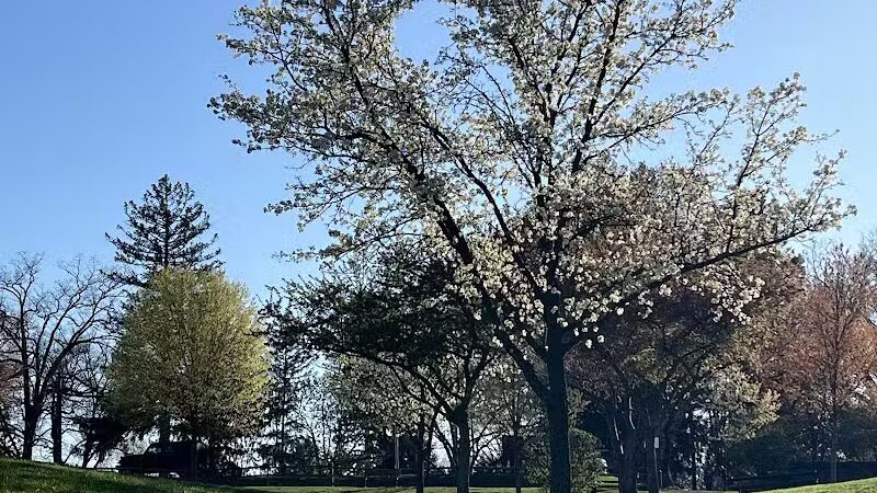 James C. Dittmar Park - Wayne, PA