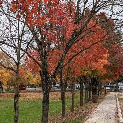 James C. Dittmar Park - Wayne, PA