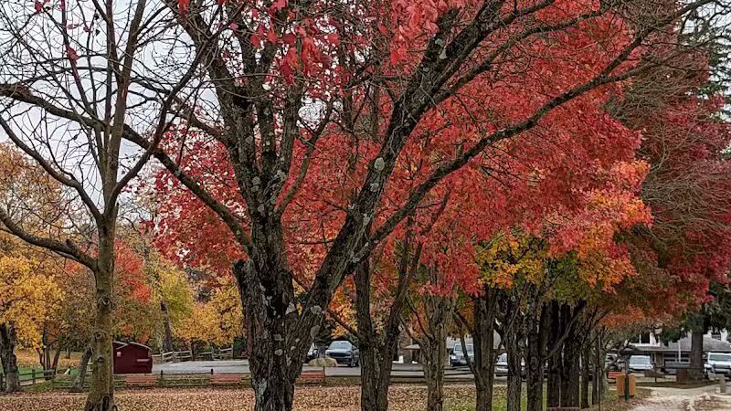 James C. Dittmar Park - Wayne, PA