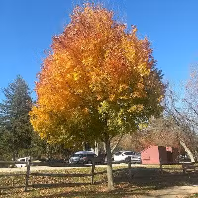 James C. Dittmar Park - Wayne, PA
