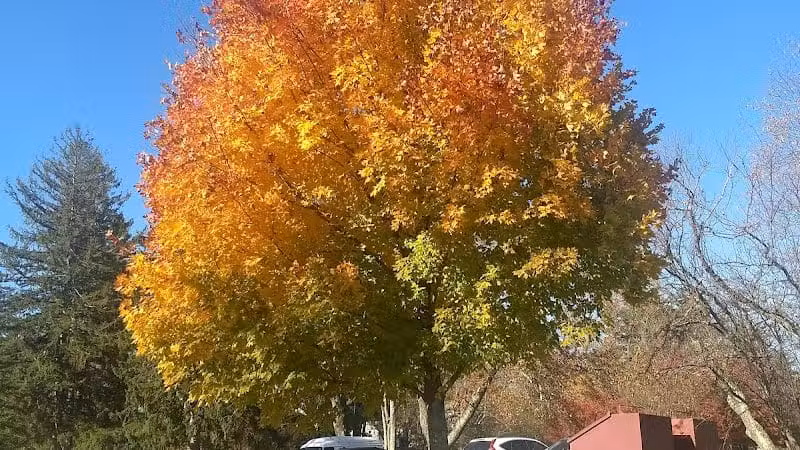 James C. Dittmar Park - Wayne, PA