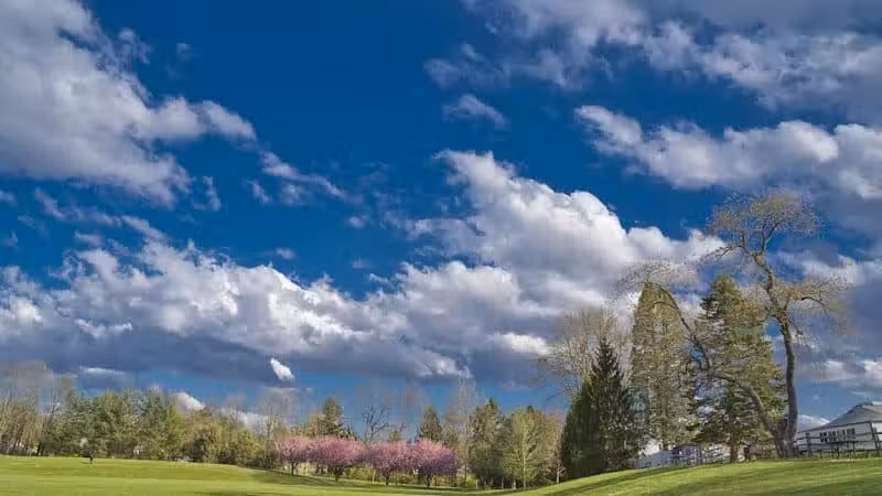 James C. Dittmar Park - Wayne, PA