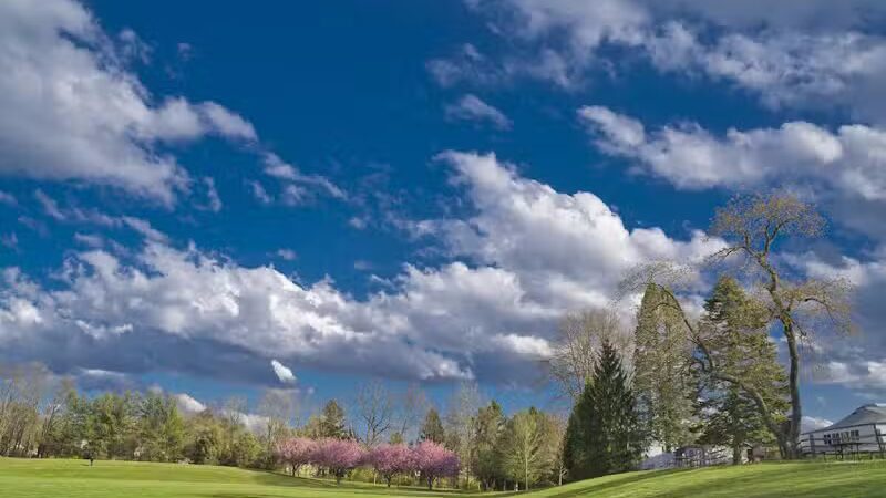 James C. Dittmar Park - Wayne, PA