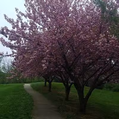James C. Dittmar Park - Wayne, PA