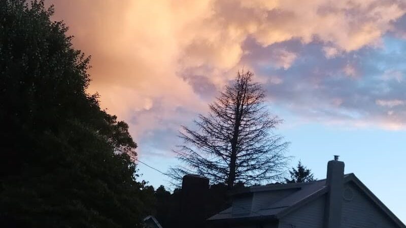 Sandy Valley Trail - Waynesburg, OH