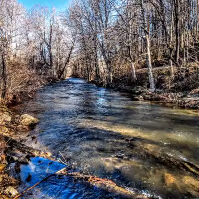 Waynesville Dog Park - Waynesville, NC