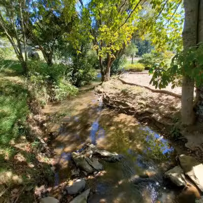 Waynesville Dog Park - Waynesville, NC