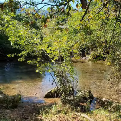Waynesville Dog Park - Waynesville, NC