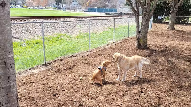 Waynesville Dog Park - Waynesville, NC