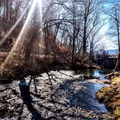 Waynesville Dog Park - Waynesville, NC