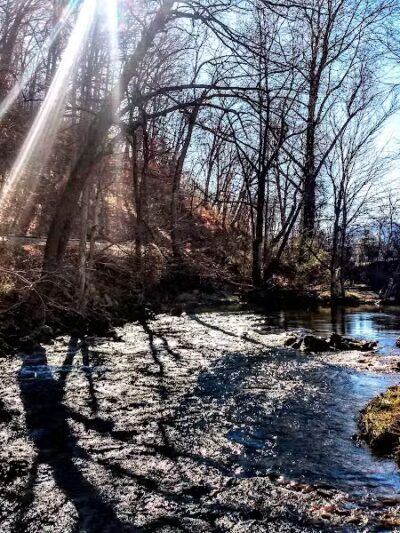 Waynesville Dog Park - Waynesville, NC