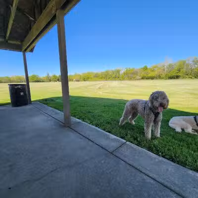 Bowman Park - Waynesville, OH