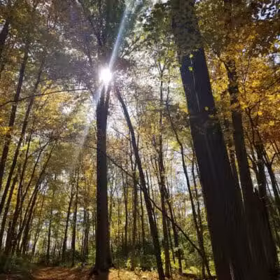 Hisey Park - Waynesville, OH