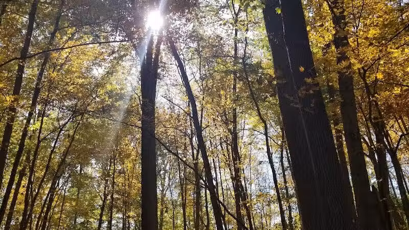 Hisey Park - Waynesville, OH