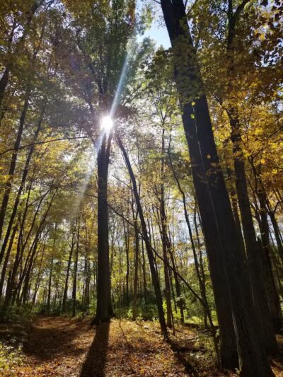 Hisey Park - Waynesville, OH