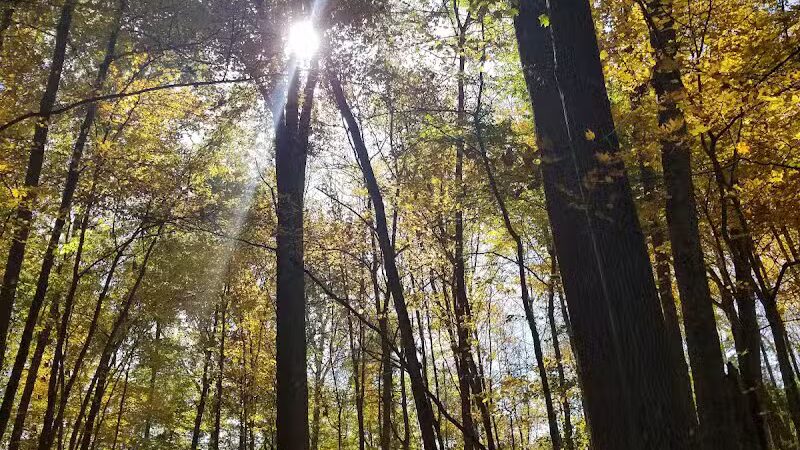 Hisey Park - Waynesville, OH