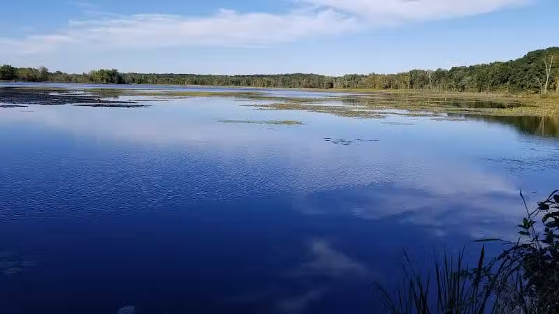Spring Valley Wetland - Waynesville, OH