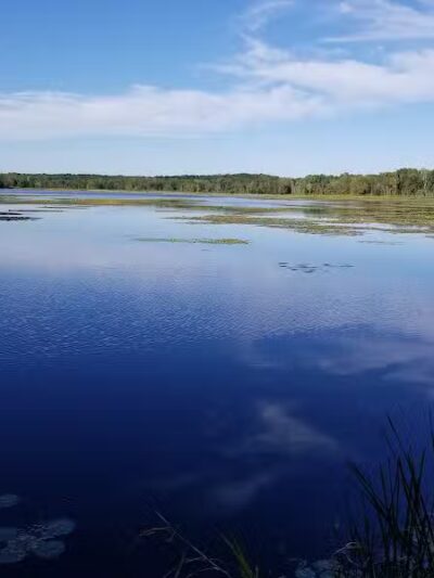 Spring Valley Wetland - Waynesville, OH