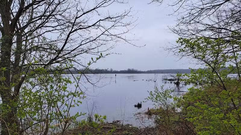 Spring Valley Wetland - Waynesville, OH