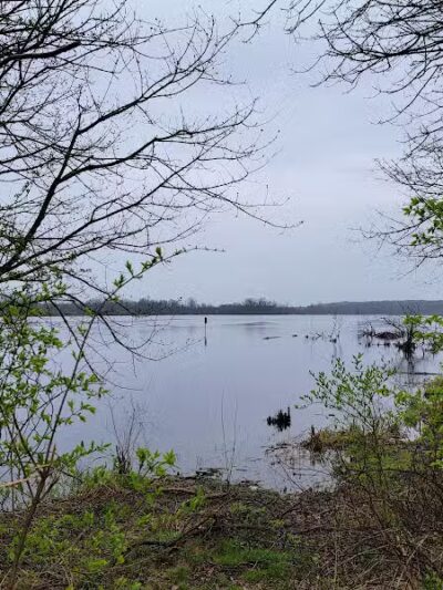 Spring Valley Wetland - Waynesville, OH