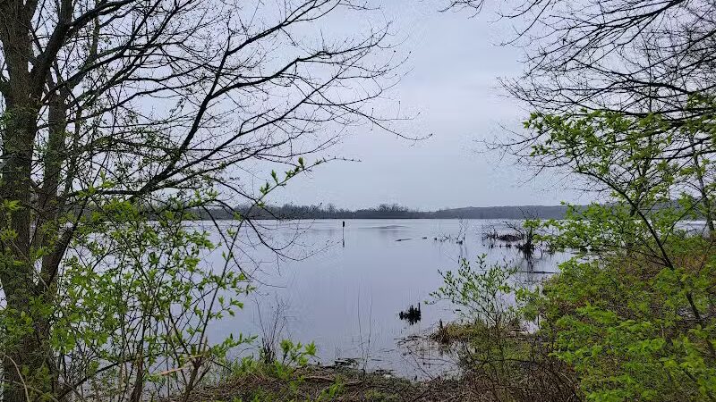 Spring Valley Wetland - Waynesville, OH