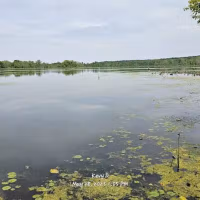 Spring Valley Wetland - Waynesville, OH