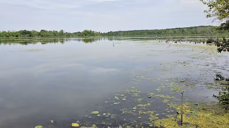Spring Valley Wetland - Waynesville, OH