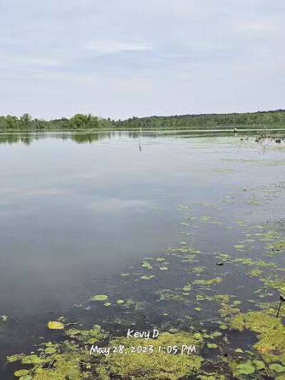 Spring Valley Wetland - Waynesville, OH