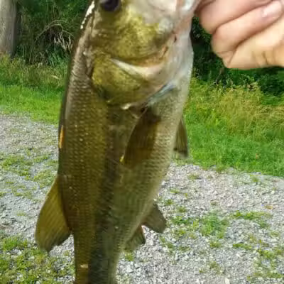 Spring Valley Wetland - Waynesville, OH