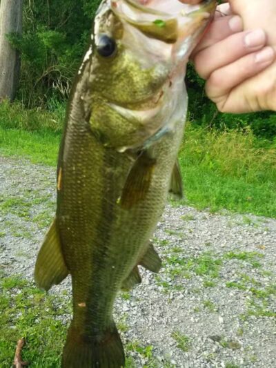 Spring Valley Wetland - Waynesville, OH