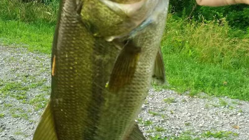 Spring Valley Wetland - Waynesville, OH
