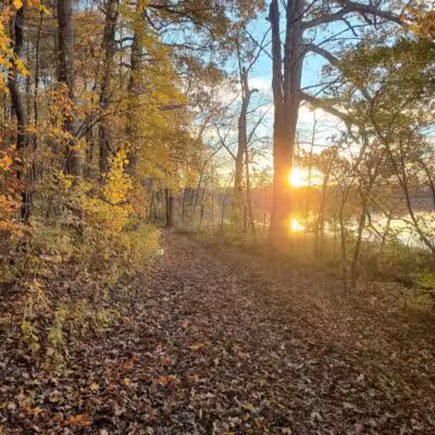 Spring Valley Wetland - Waynesville, OH
