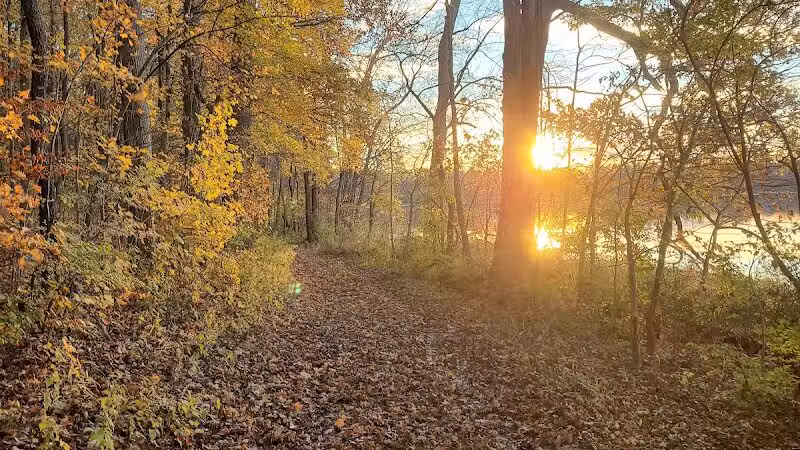 Spring Valley Wetland - Waynesville, OH