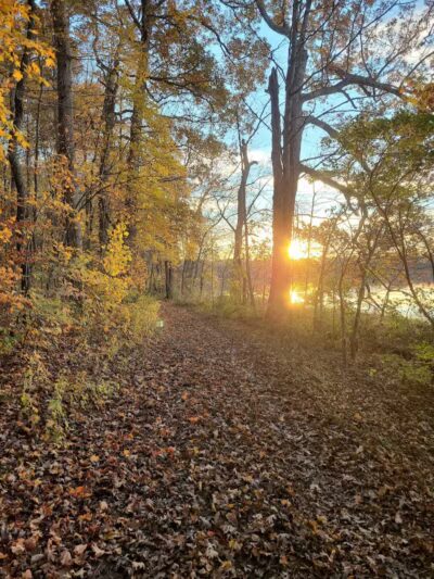 Spring Valley Wetland - Waynesville, OH