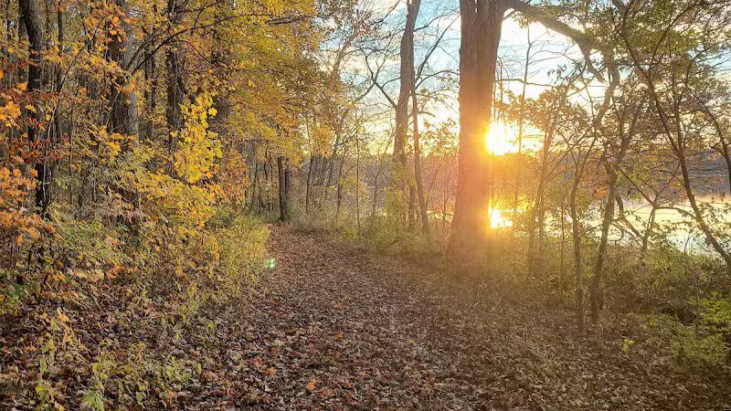 Spring Valley Wetland - Waynesville, OH