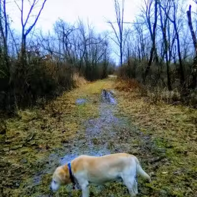 Spring Valley Wetland - Waynesville, OH