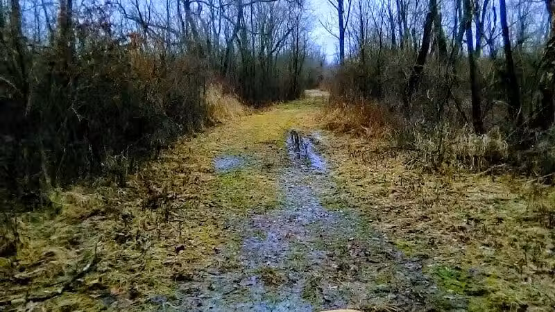 Spring Valley Wetland - Waynesville, OH