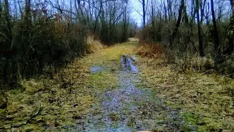 Spring Valley Wetland - Waynesville, OH