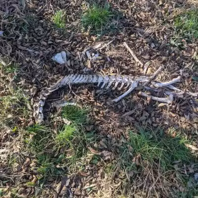Spring Valley Wildlife Area Parking - Waynesville, OH