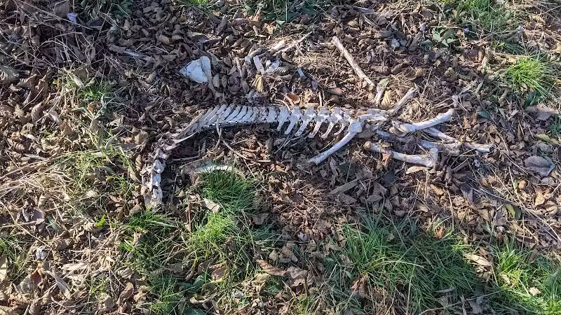 Spring Valley Wildlife Area Parking - Waynesville, OH
