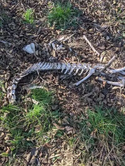 Spring Valley Wildlife Area Parking - Waynesville, OH