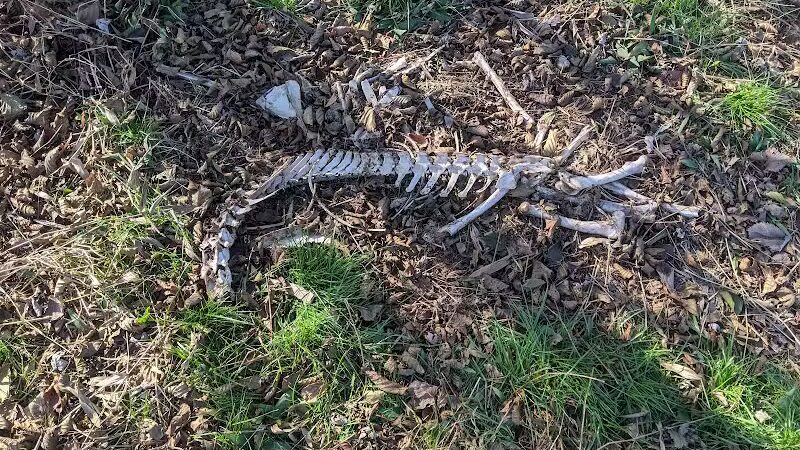 Spring Valley Wildlife Area Parking - Waynesville, OH
