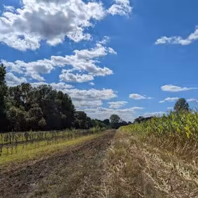Spring Valley Wildlife Area Parking - Waynesville, OH