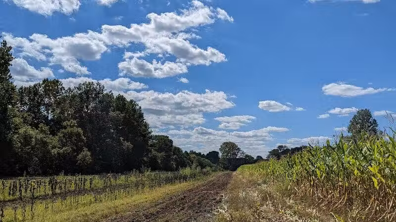 Spring Valley Wildlife Area Parking - Waynesville, OH