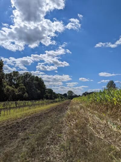 Spring Valley Wildlife Area Parking - Waynesville, OH
