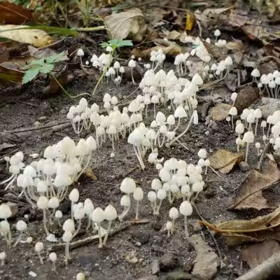 Spring Valley Wildlife Area Parking - Waynesville, OH