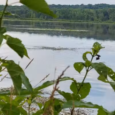 Spring Valley Wildlife Area Parking - Waynesville, OH
